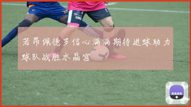 若昂佩德罗信心满满期待进球助力球队战胜水晶宫
